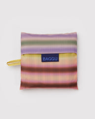 Standard Baggu Gradient Stripe Multi BAGS